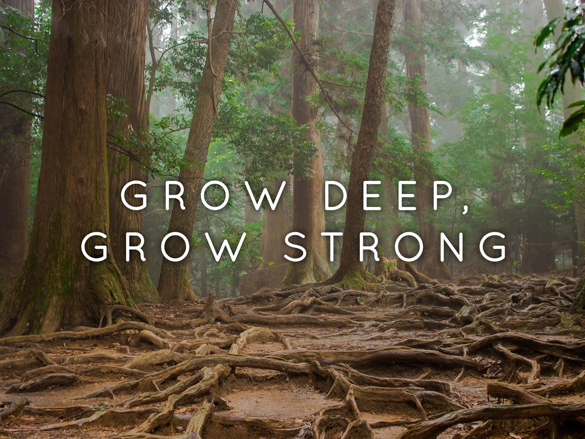 Grow Deep, Grow Strong | Faith Community Baptist Church (FCBC) Singapore